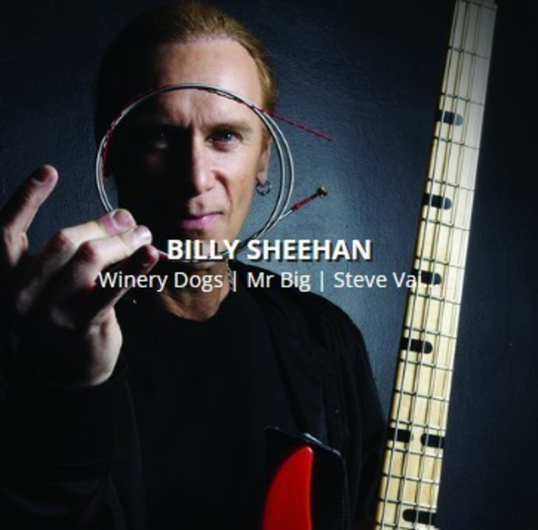Rotosound cordes de E-Bass Swing Bass 66 - Set 4-string Billy Sheehan Custom 43-110 (BS66)