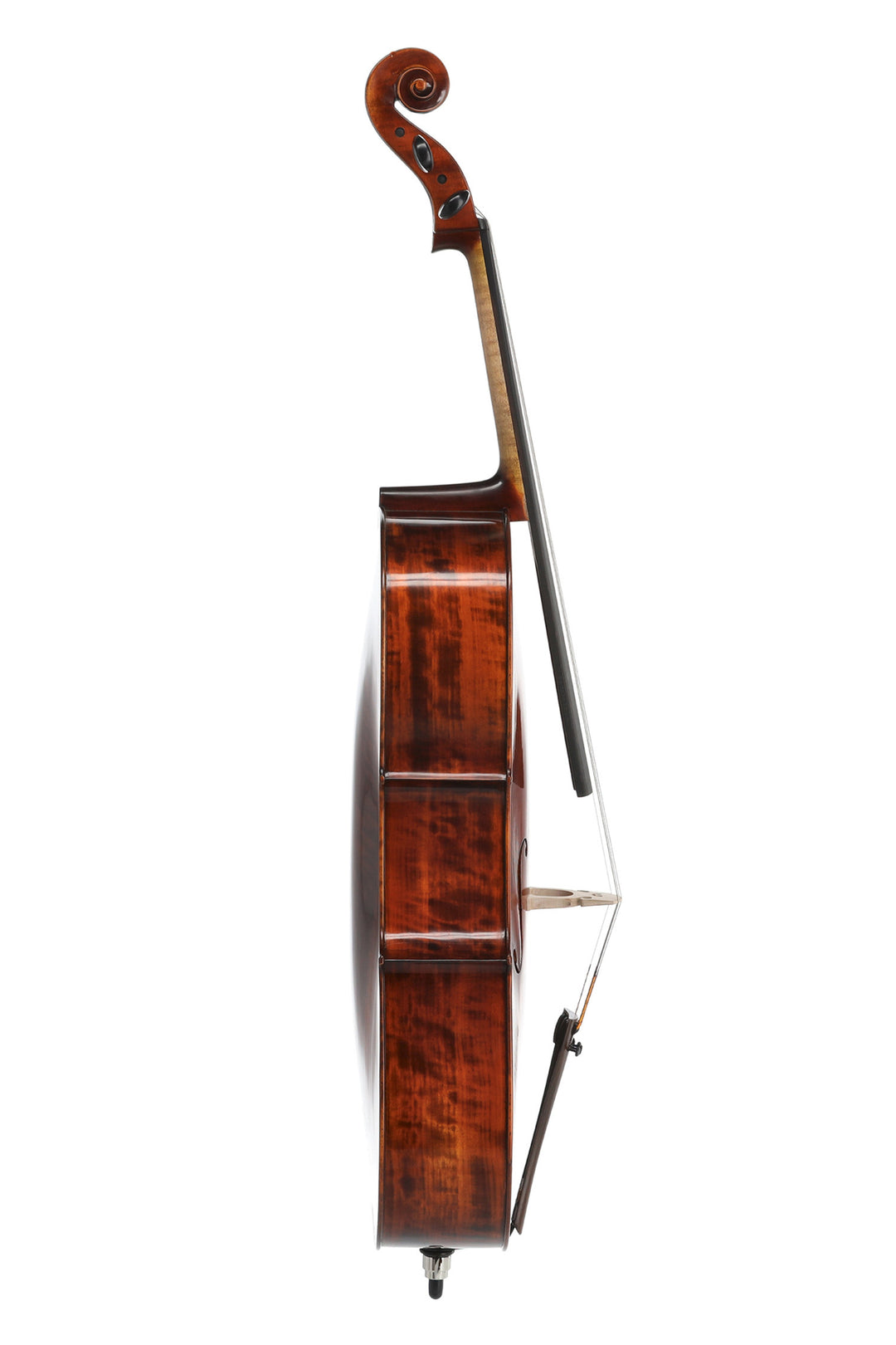 GEWA Concert violoncelle Georg Walther - 4/4 (Set up)
