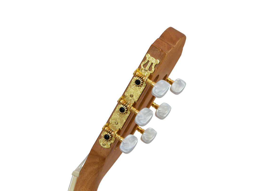 DiMavery CN-300 Guitare classique espagnole (Acajou)