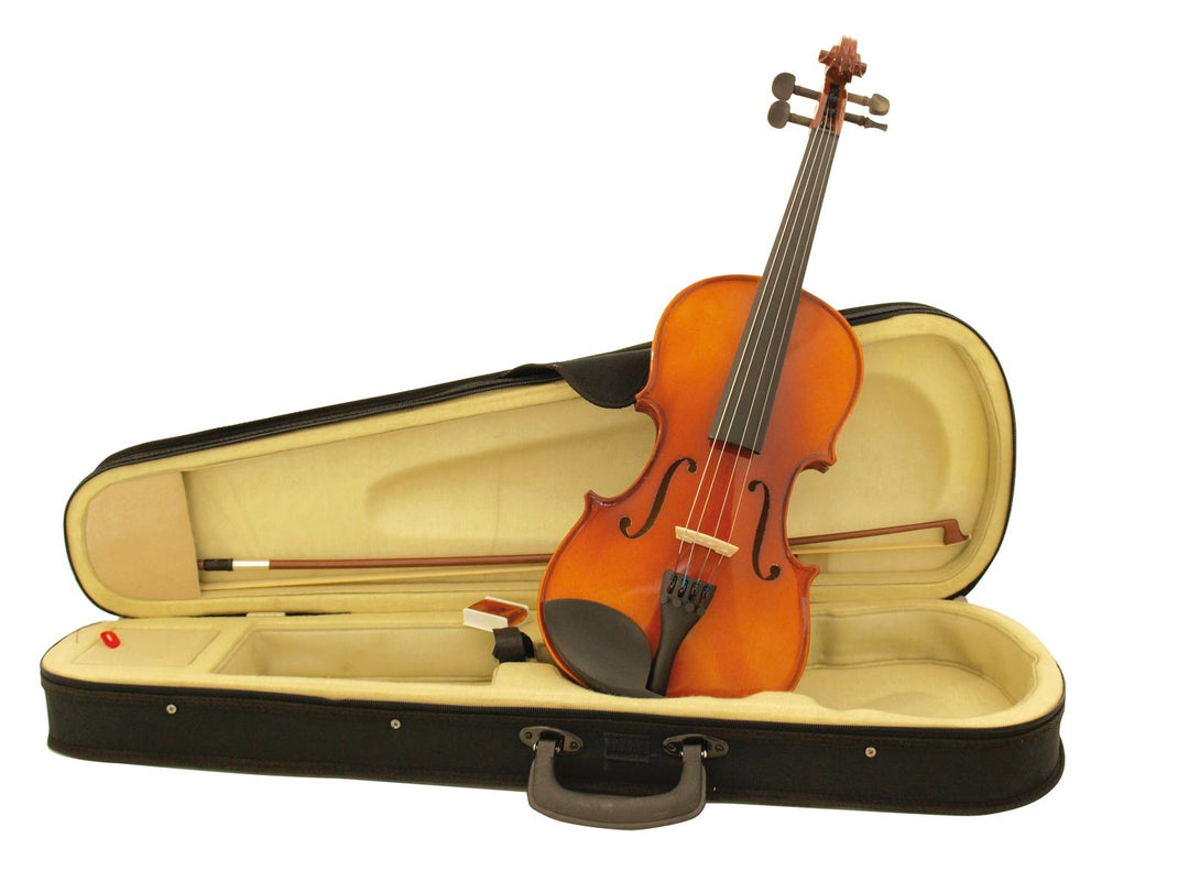 DiMavery Violon 4/4 avec Archet et Étui