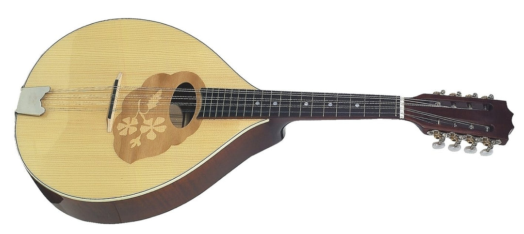 GEWA Mandola Pro Arte - High brillant