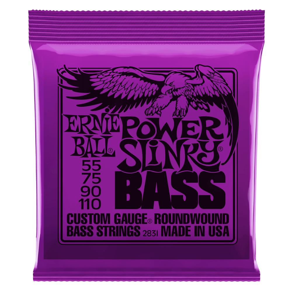 Ernie Ball Slinky Nickel Wound Bass String, Bass Guitar
