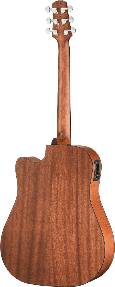 Walden D550CEW Guitares Western (Naturel)