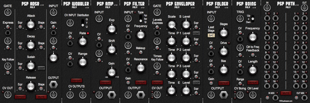 PSP Poly Modulaire Coll.