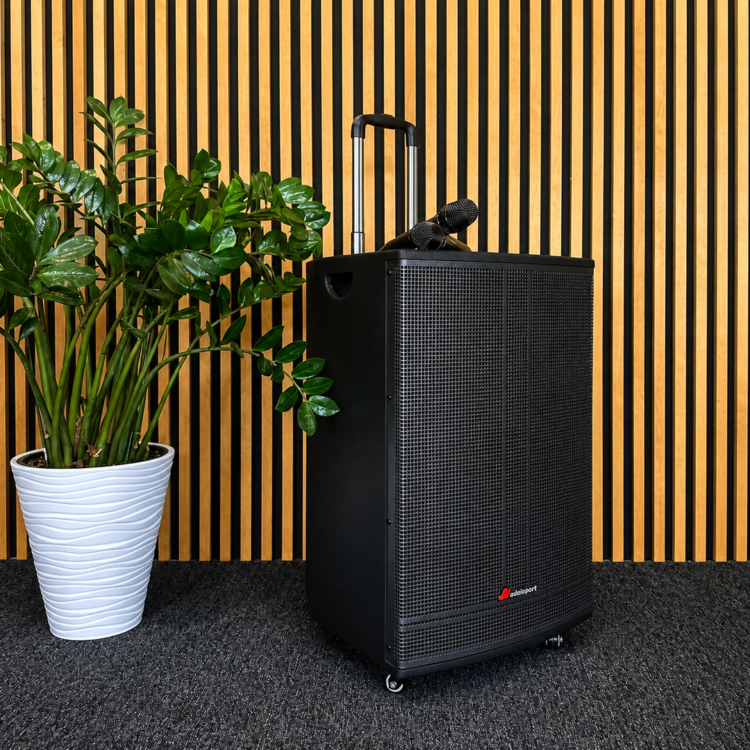 Audioport V15 enceinte active portable de 500 W avec 2 microphones