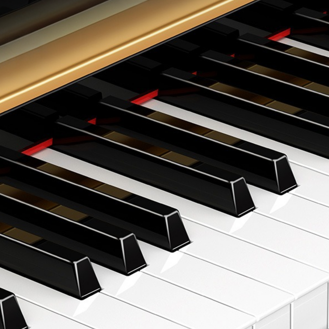 V-Tone BL-980 BK piano numérique, noir