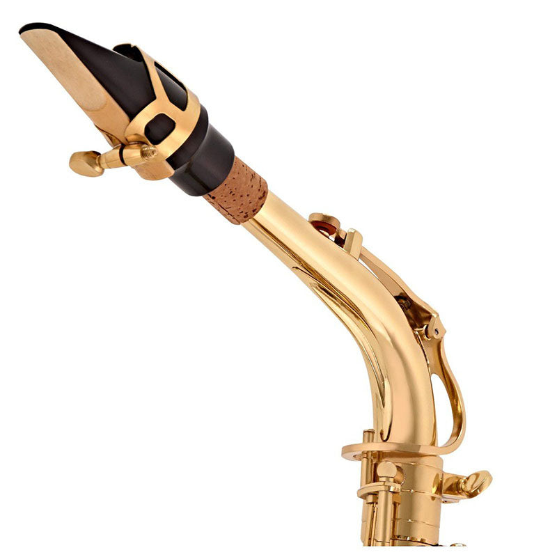 V-TONE AS 100 saxophone alto avec set de housse
