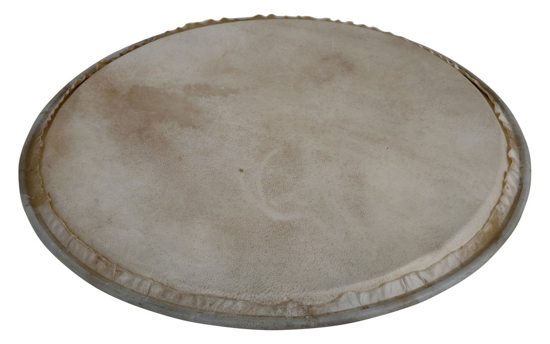 Latin Percussion tête de Percussion Plenera - 12" (WB505C)