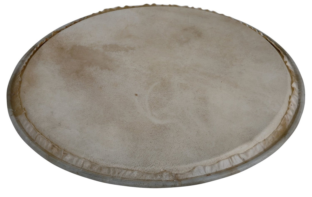 Latin Percussion Peau de Percussion Plenera - 8" (WB505A)
