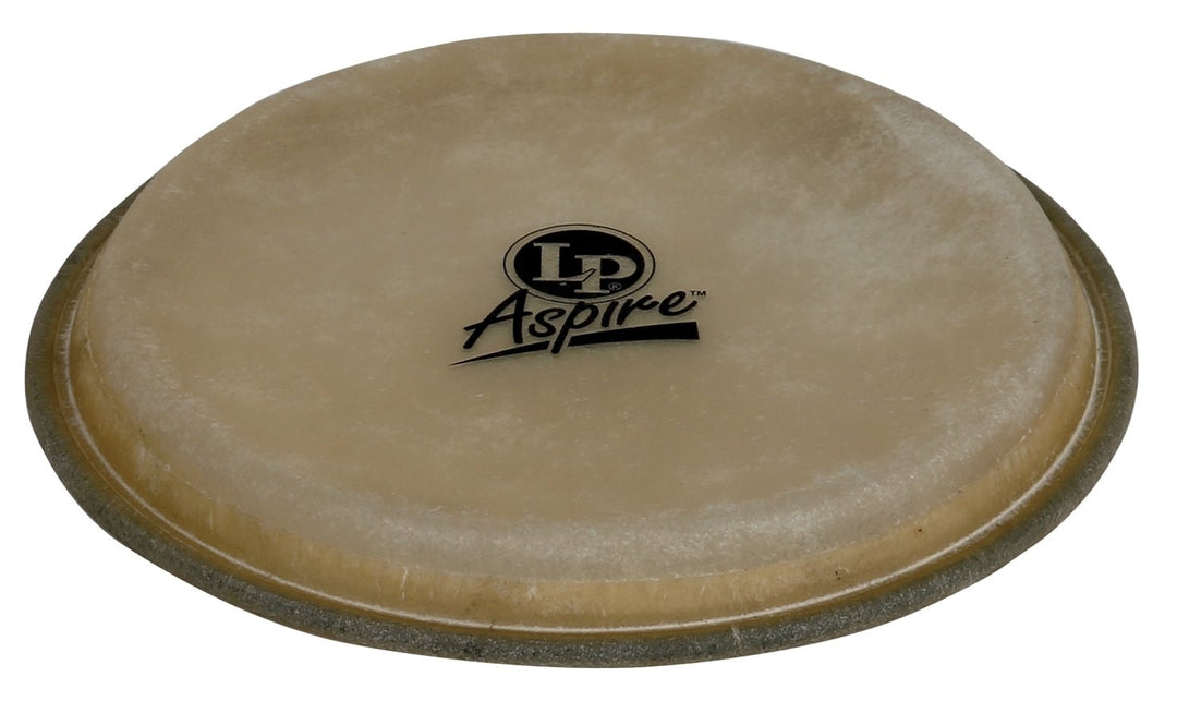 Latin Percussion Peau de bongo rebords EZ Curve - 6 3/4" Macho (LPA663A)