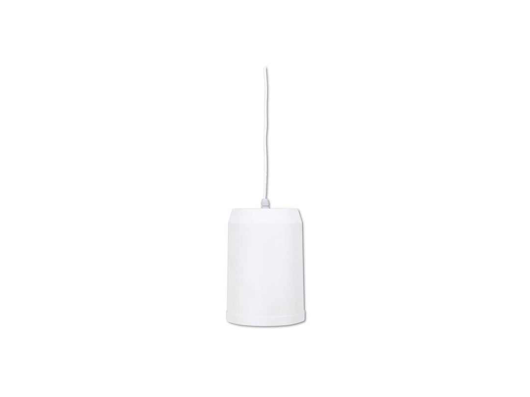 OMNITRONIC WP-15W Enceinte plafond