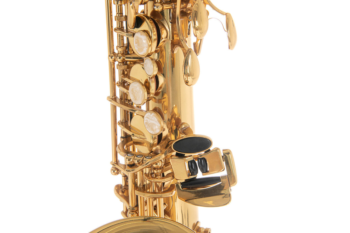 Roy Benson Eb-Alto Saxophone Roy Benson AS-202 - AS-202
