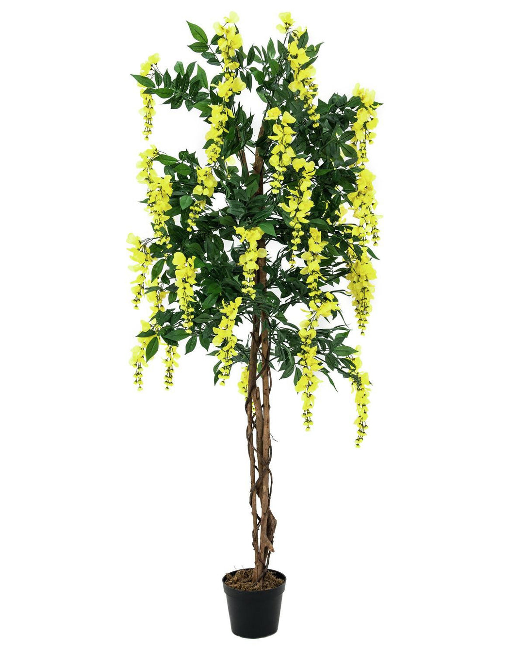 Glycine Artificielle (Jaune, 150cm)