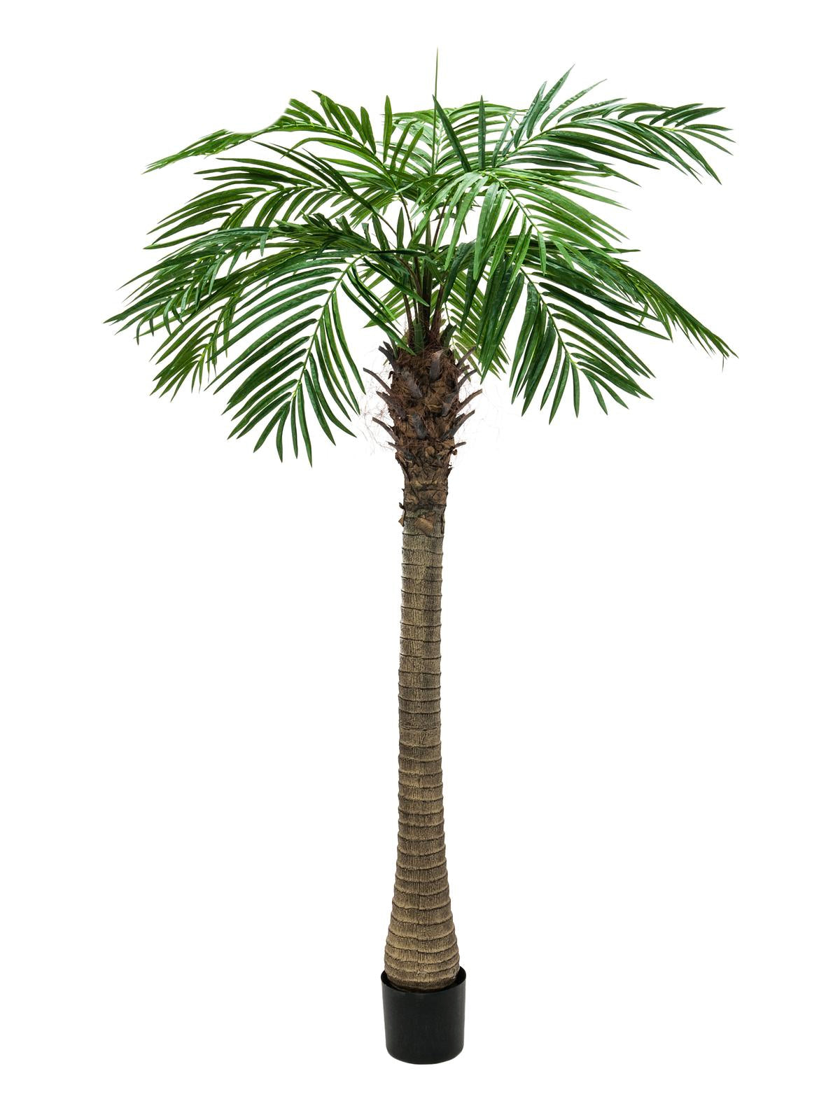 Artificial Phoenix Palm Tree Luxor 240 cm