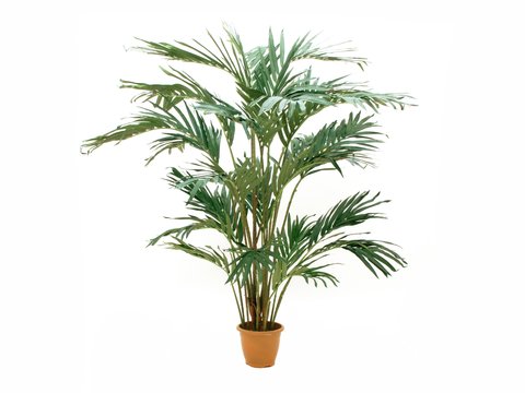 Artificial Canary Island date palm, 240cm