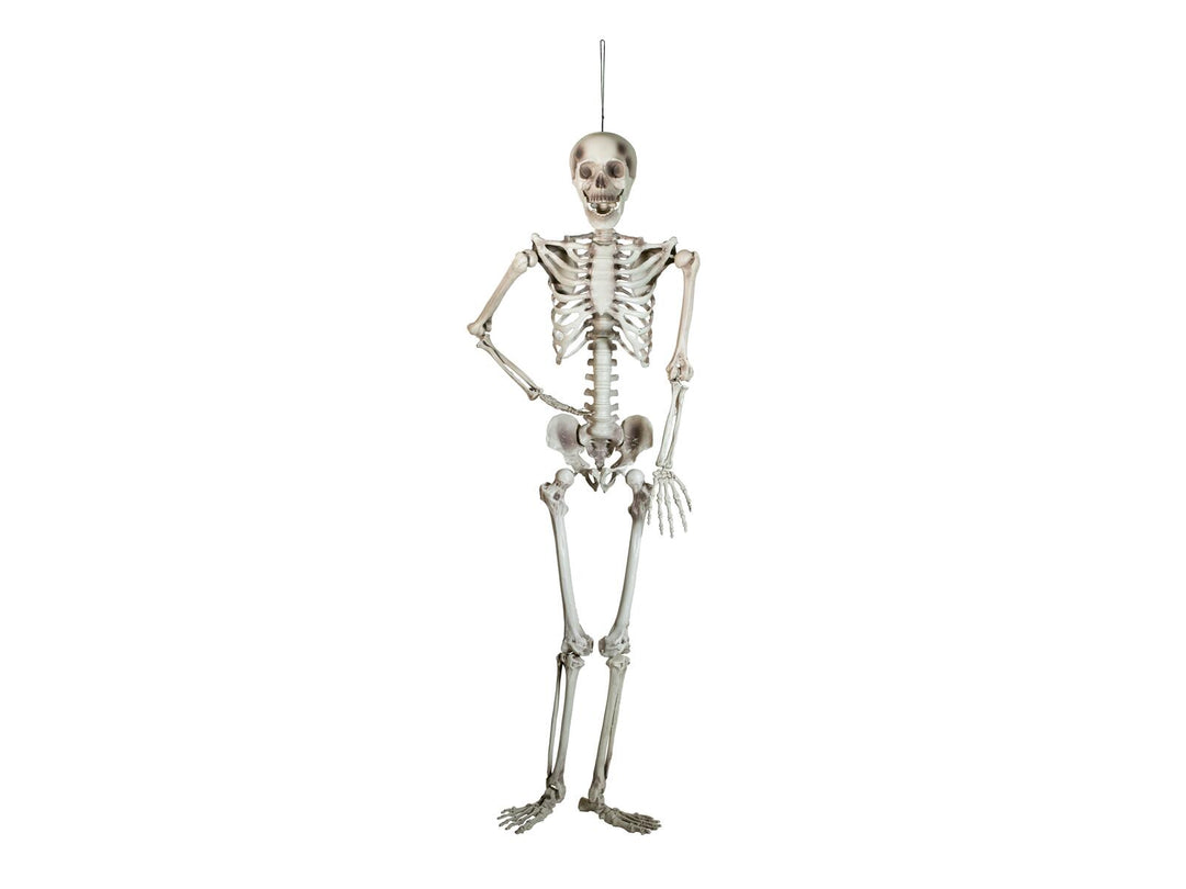Squelette d’Halloween, suspendu, blanc, 150 cm