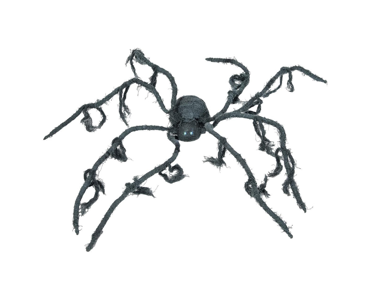 Halloween spider