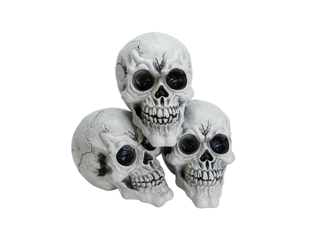 Crânes d’Halloween noirs et blancs, 3 pièces