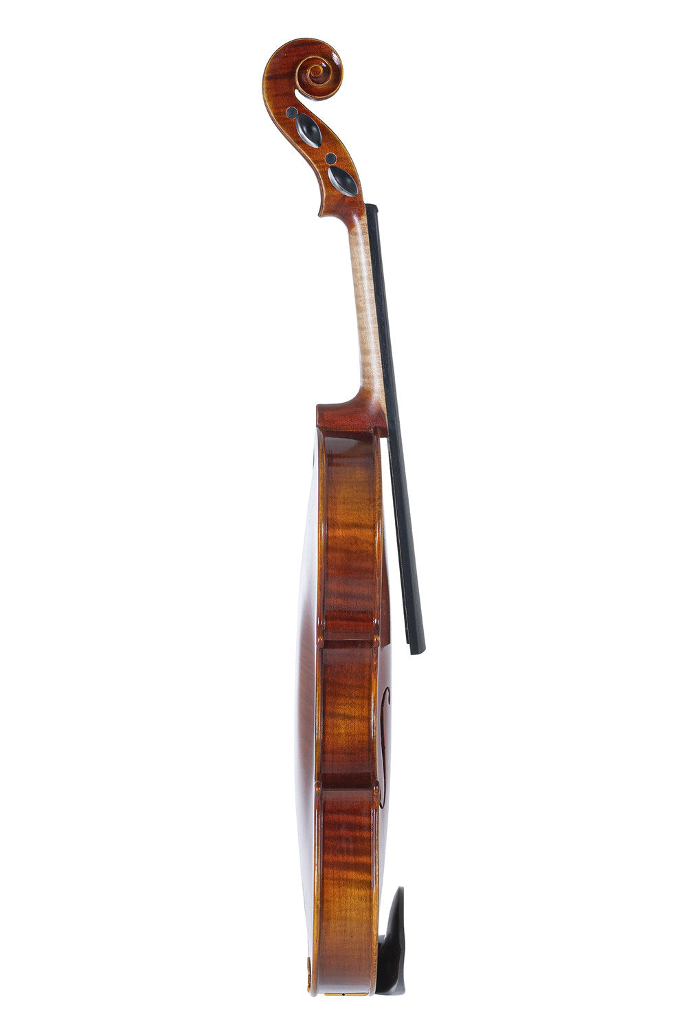 GEWA Maestro 1 violons 3/4, sans montage, avec étui allongé