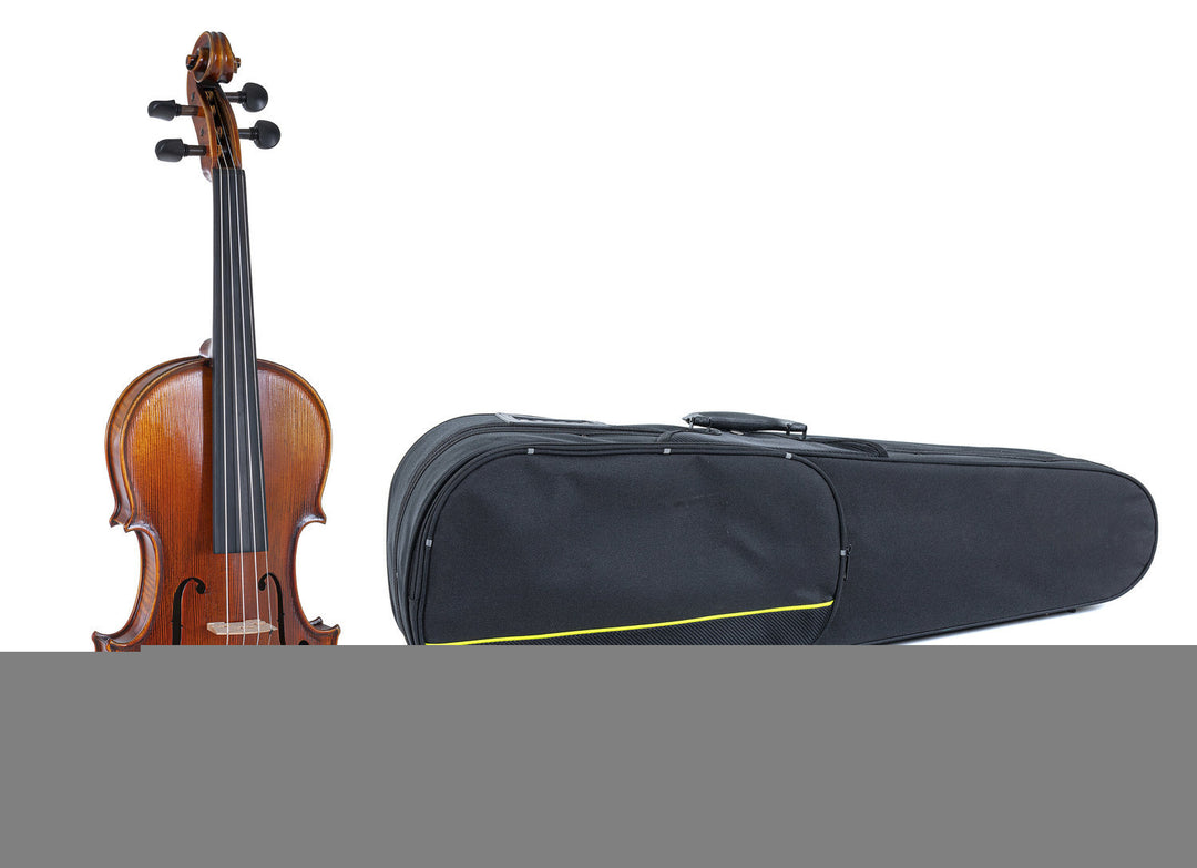GEWA Violons Maestro 2 - 4/4 (Prêt à jouer, avec case profilé, sans archet, avec cordes Il Cannone, sécurisé pour le transport)