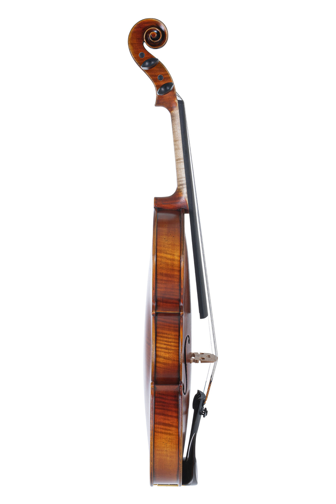 GEWA Violons Maestro 2 - 1/2 (Prêt à jouer, avec case profilé, archet en Massaranduba et cordes Larsen Aurora, sécurisé pour le transport)