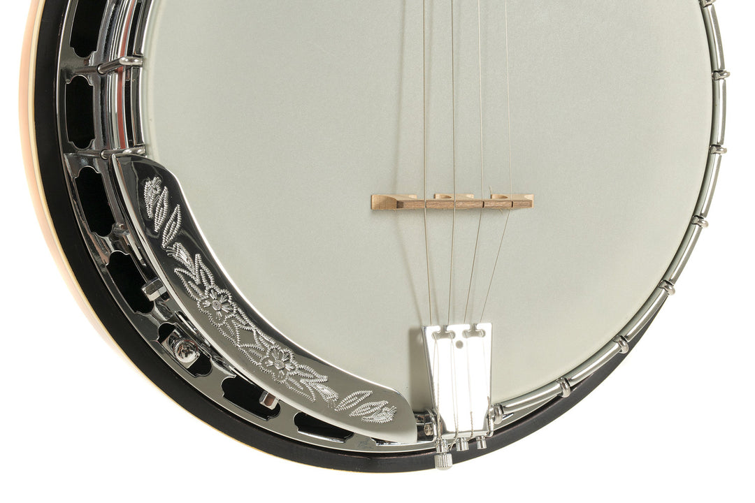 GEWA Banjos Premium - 4 cordes (avec case)