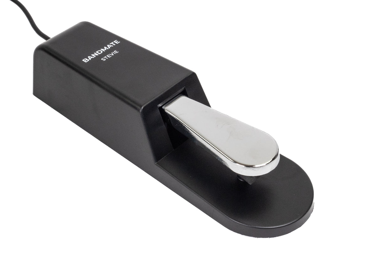 BandMate DP100 Sustain Pedal