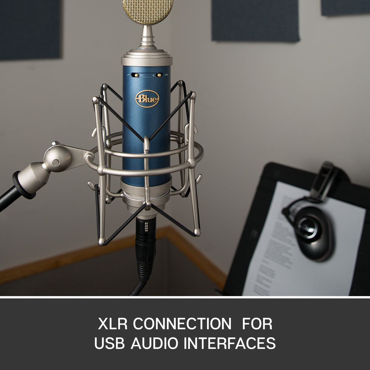 Blue SL Condenser Microphone (Bluebird)