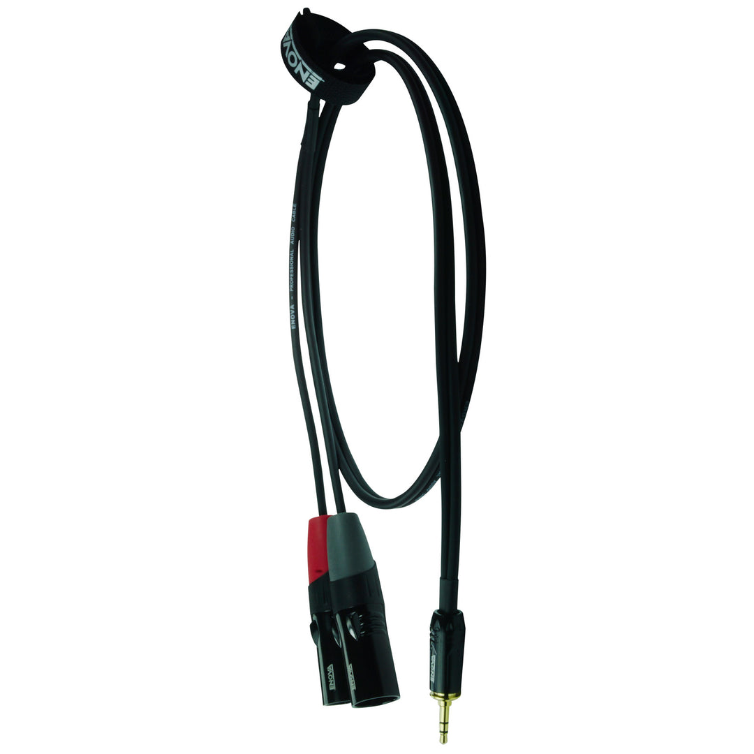 Enova câble adaptateur MiniJack > 2 x XLR mâle, 1 mètre