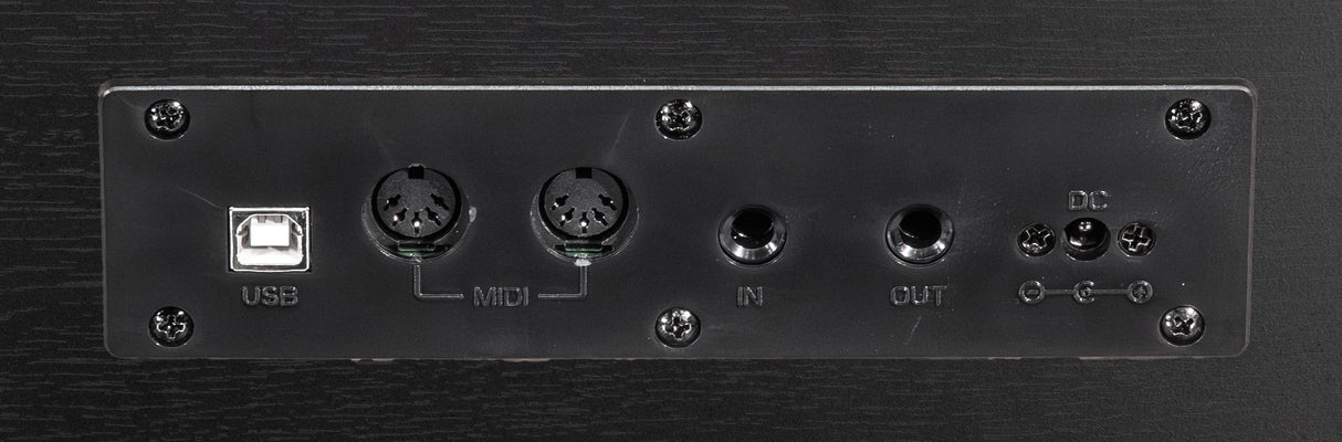 Grooveland DDP-140 Electric Piano (Black) Bundle