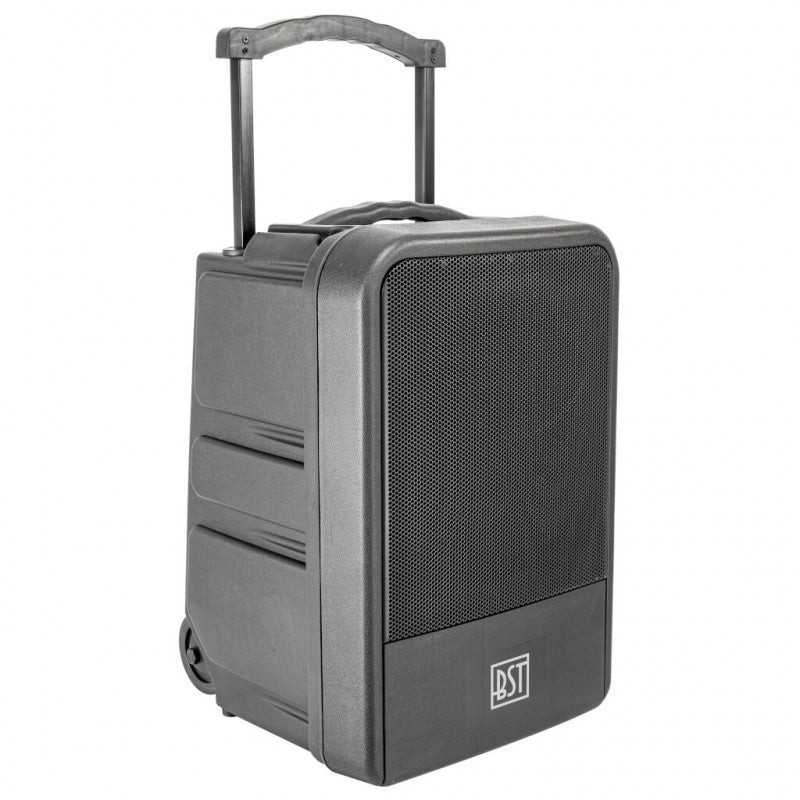 BST IPS10 "All-weather" festival speaker