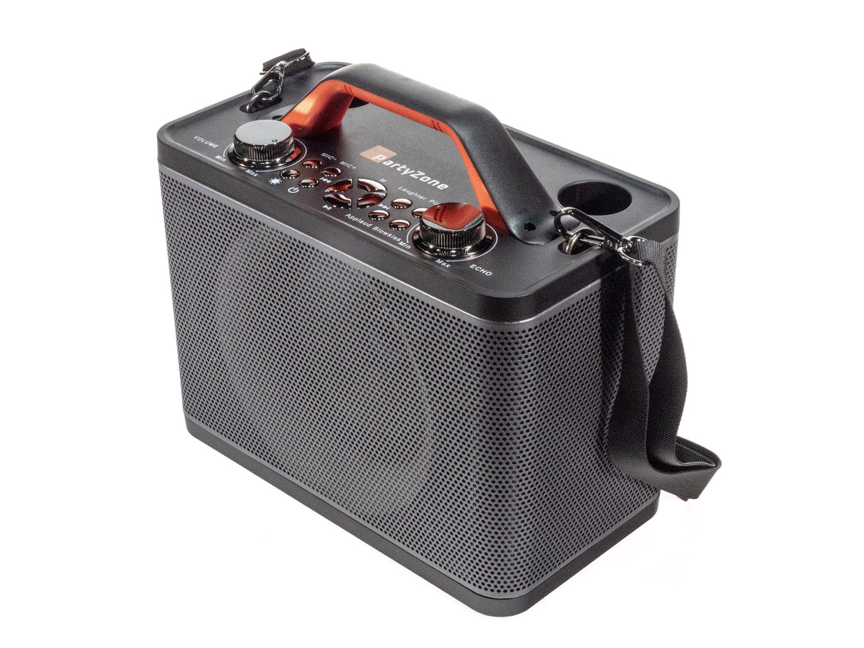 Système karaoke avec 2 microphones (Noir)