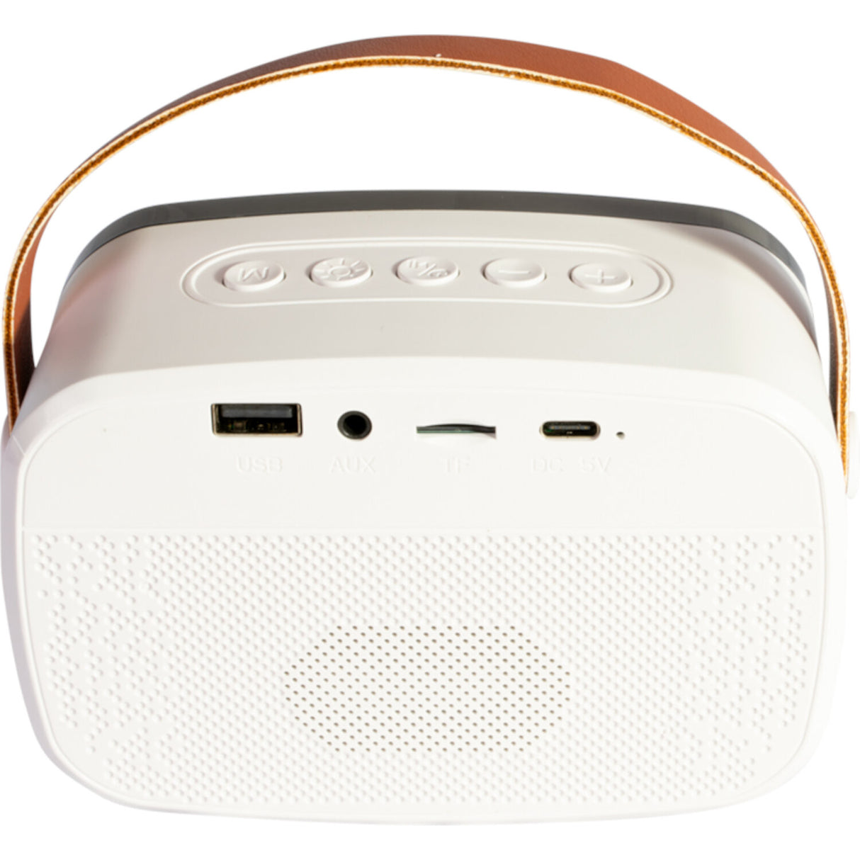 Ibiza Smart Karaoke Bluetooth Speaker with 2 Wireless Microphones