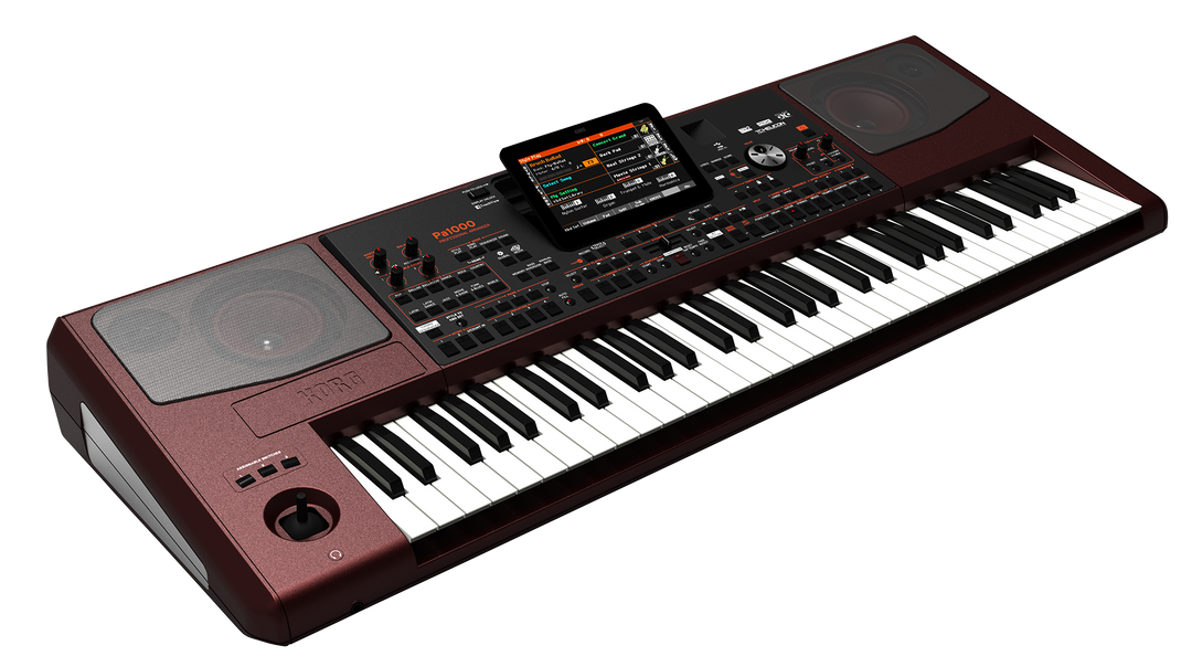 Korg PA-1000 Craviers (Bordeux)
