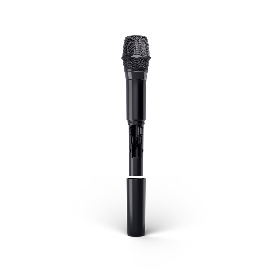 LD Systems ANNY® 10 HHD 2 B5 - Système PA portable alimenté par batterie de 10" avec Bluetooth® et mixeur, équipé de 2 microphones sans fil à main