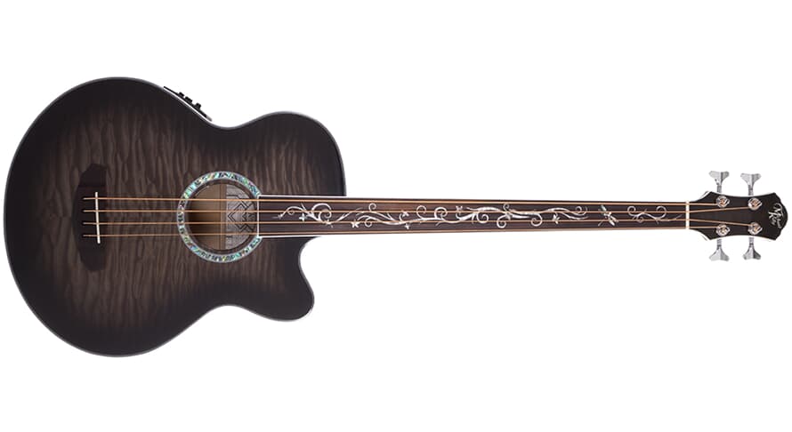 Basse acoustique fretless Michael Kelly Dragonfly 4, Smokeburst
