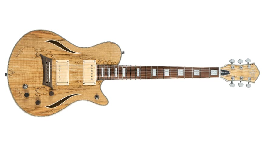 Michael Kelly Hybrid Special guitare hybride, Spalted Maple