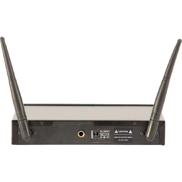 Ibiza Wireless Microphone System (2 channels)