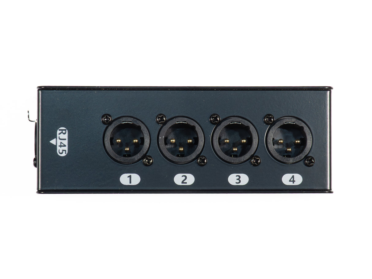 Perfex Cat Snake Box (Mâle)