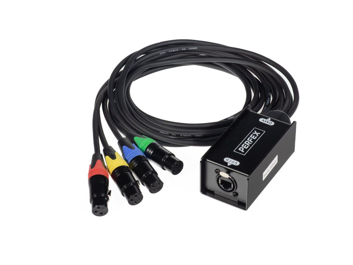 Perfex Cat Snake (Femelle)