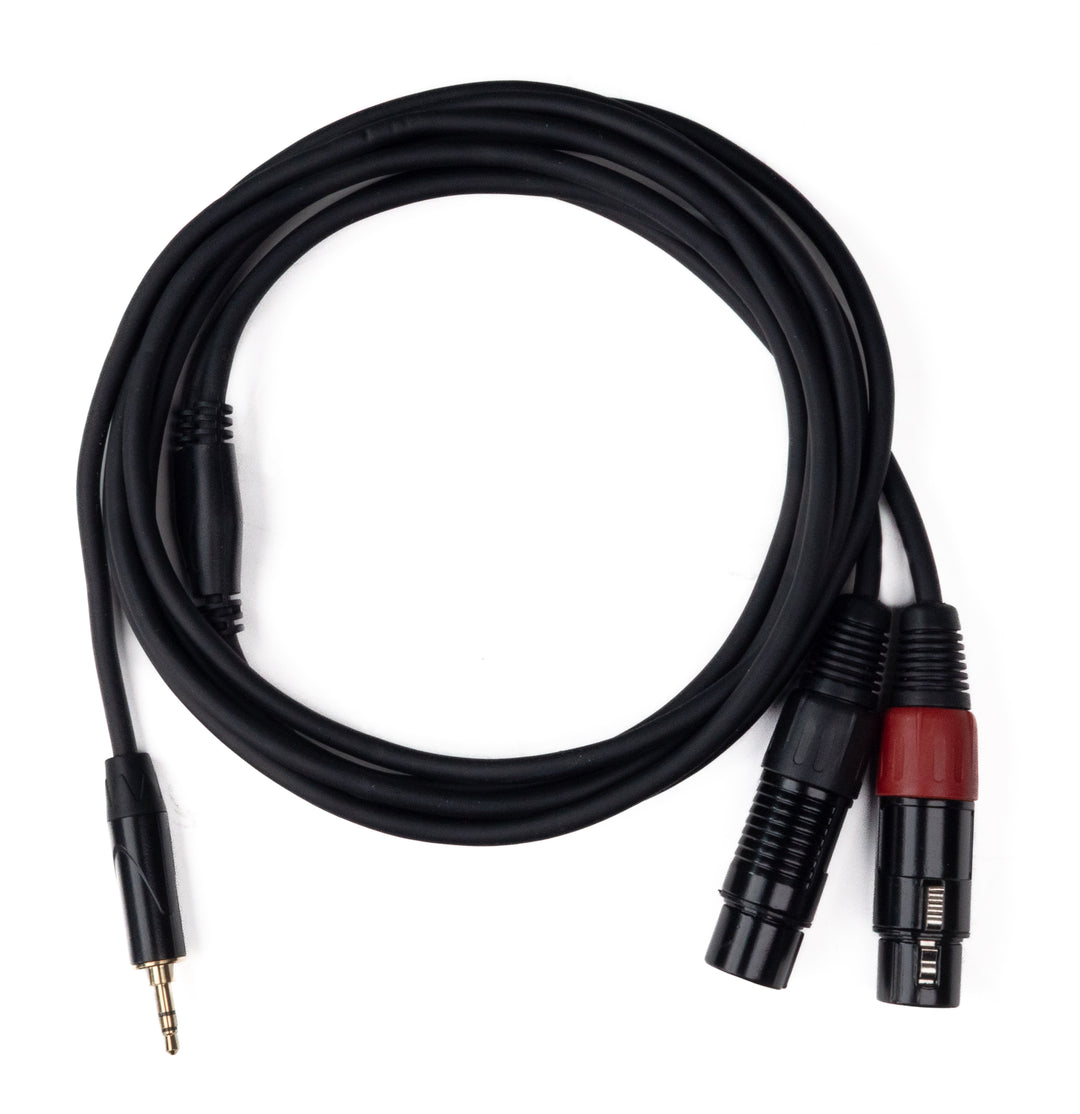 MINIJACK 3,5mm TRS Mâle vers 2x XLR Femelle (3m)