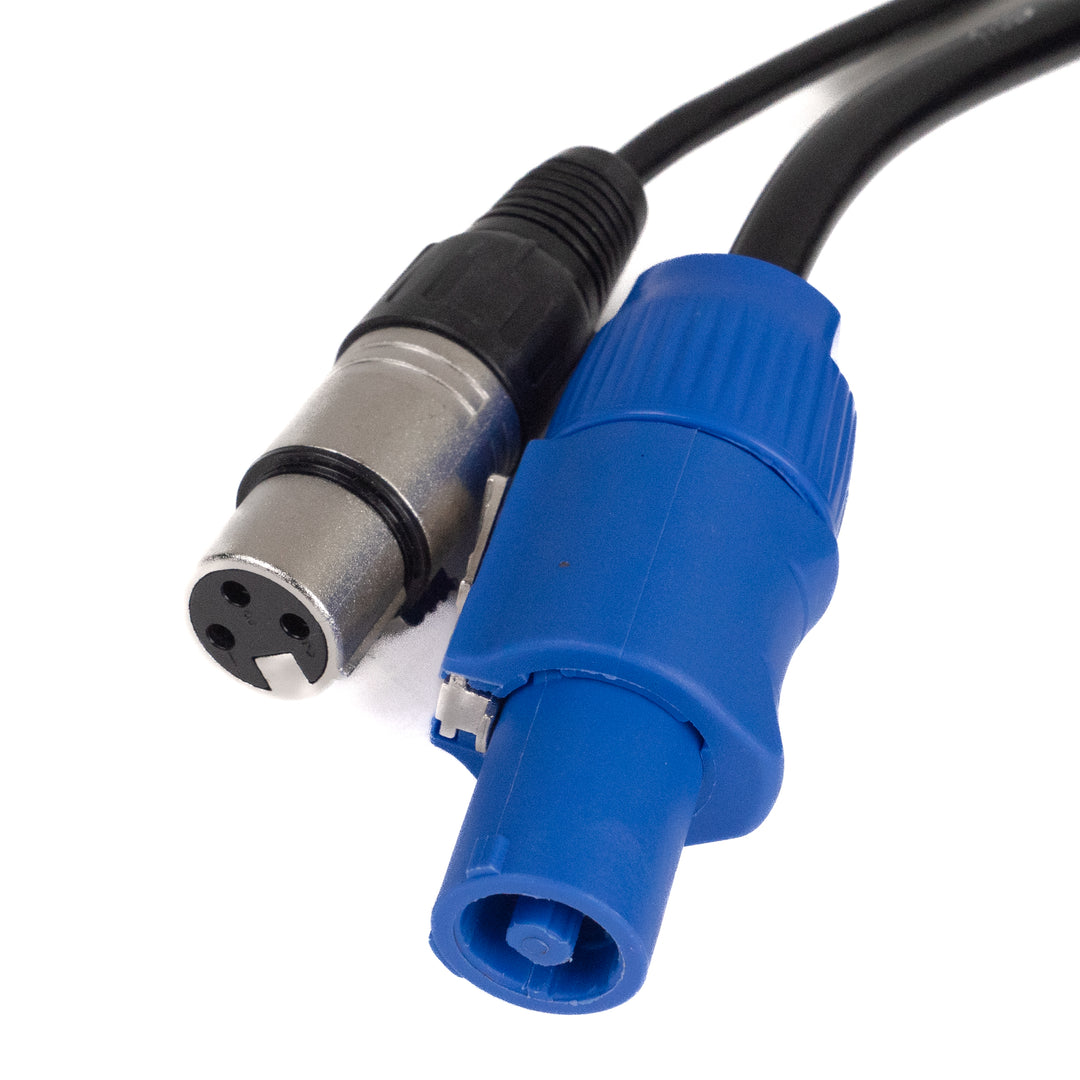 Perfex Powercon & XLR Câbles Muïipies (DMX, 1,5m)