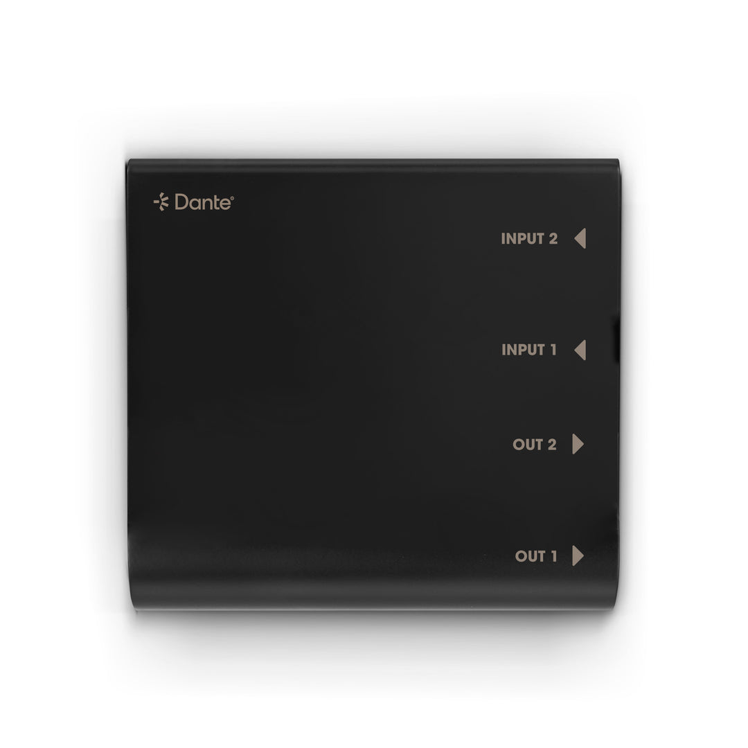 Palmer RIVER lahn - Interface Dante® 2x2