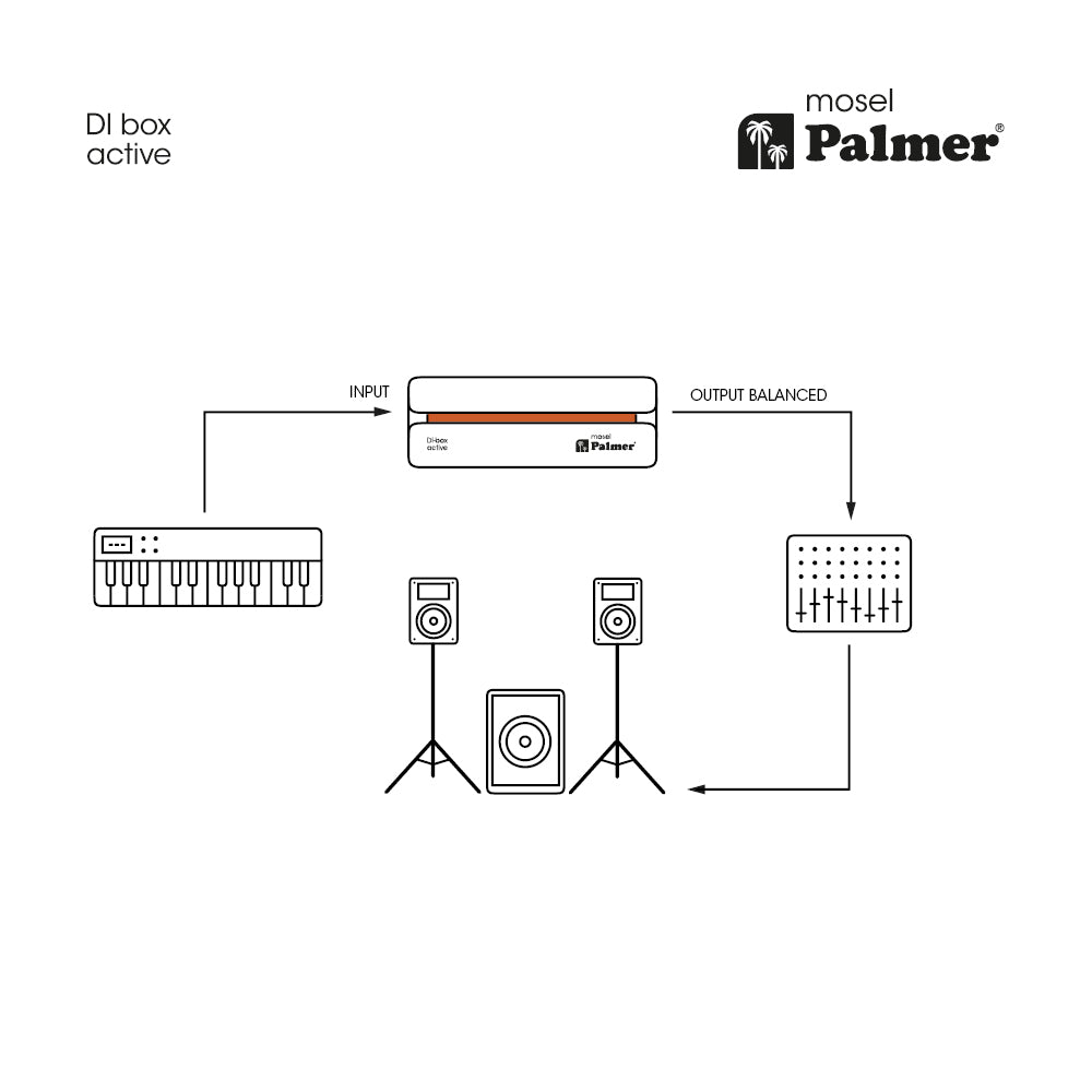 Palmer modèle RIVER – boîtier DI actif