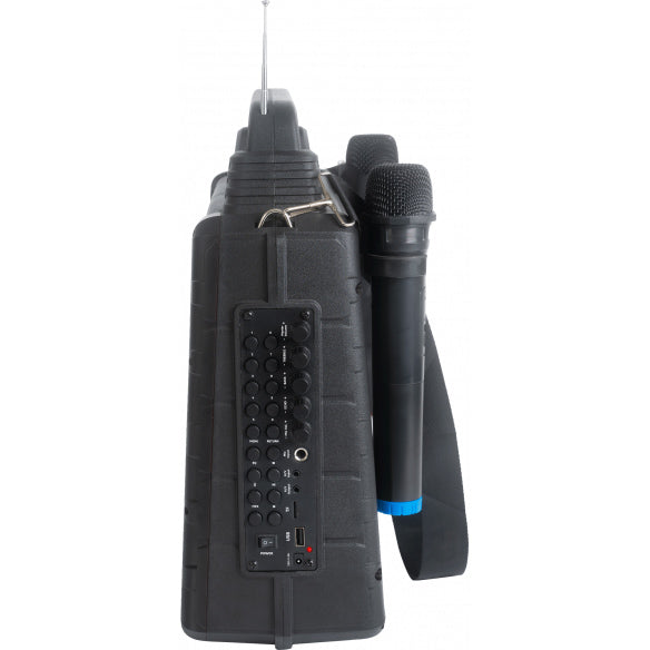 Portable karaoke speaker with screen and 2 microphones