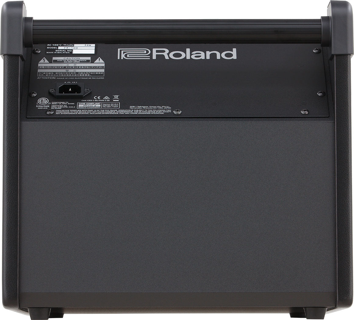 Roland PM-100 Monitor