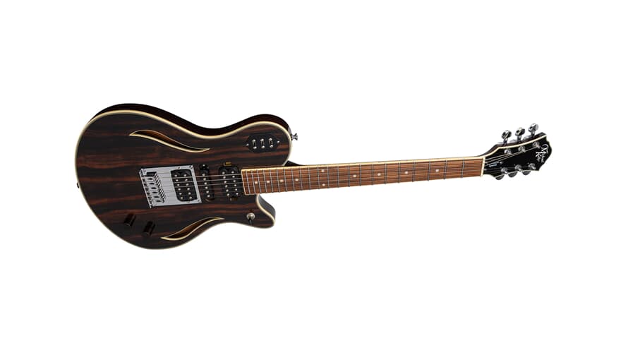 Michael Kelly Custom Collection Special guitare électrique, Striped Ebony