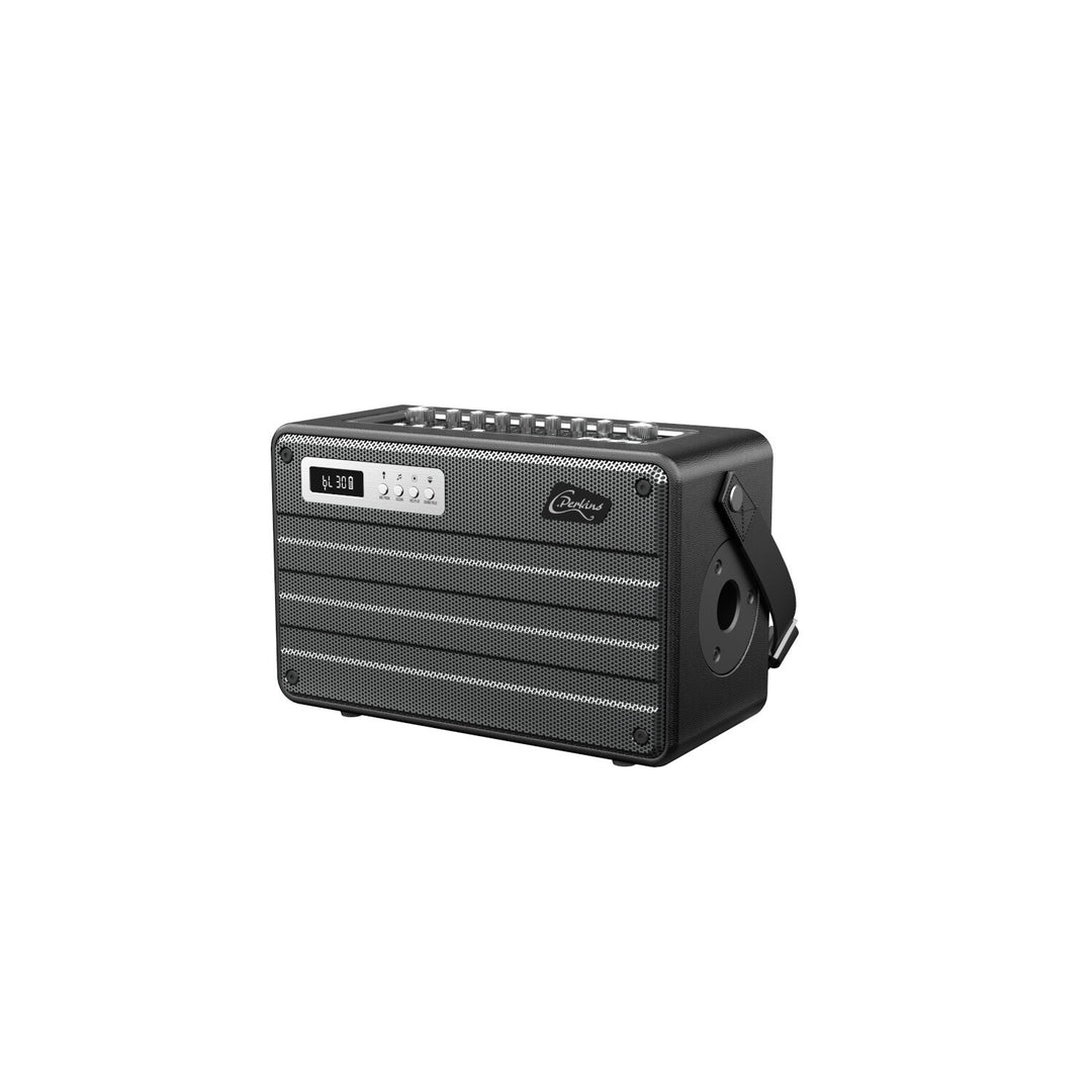 C.Perkins Roady FL - Enceinte de rue active