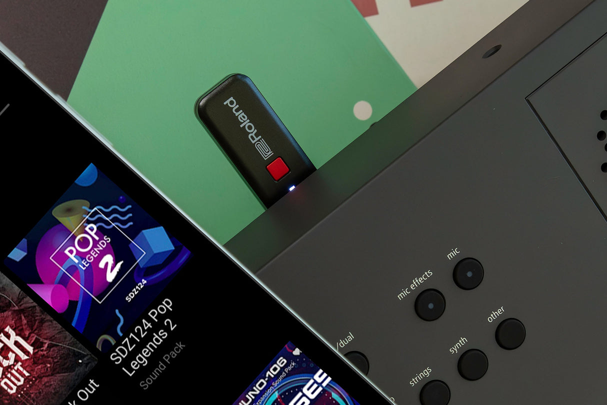 Roland GO:KEYS 5 Keyboard (Graphite)