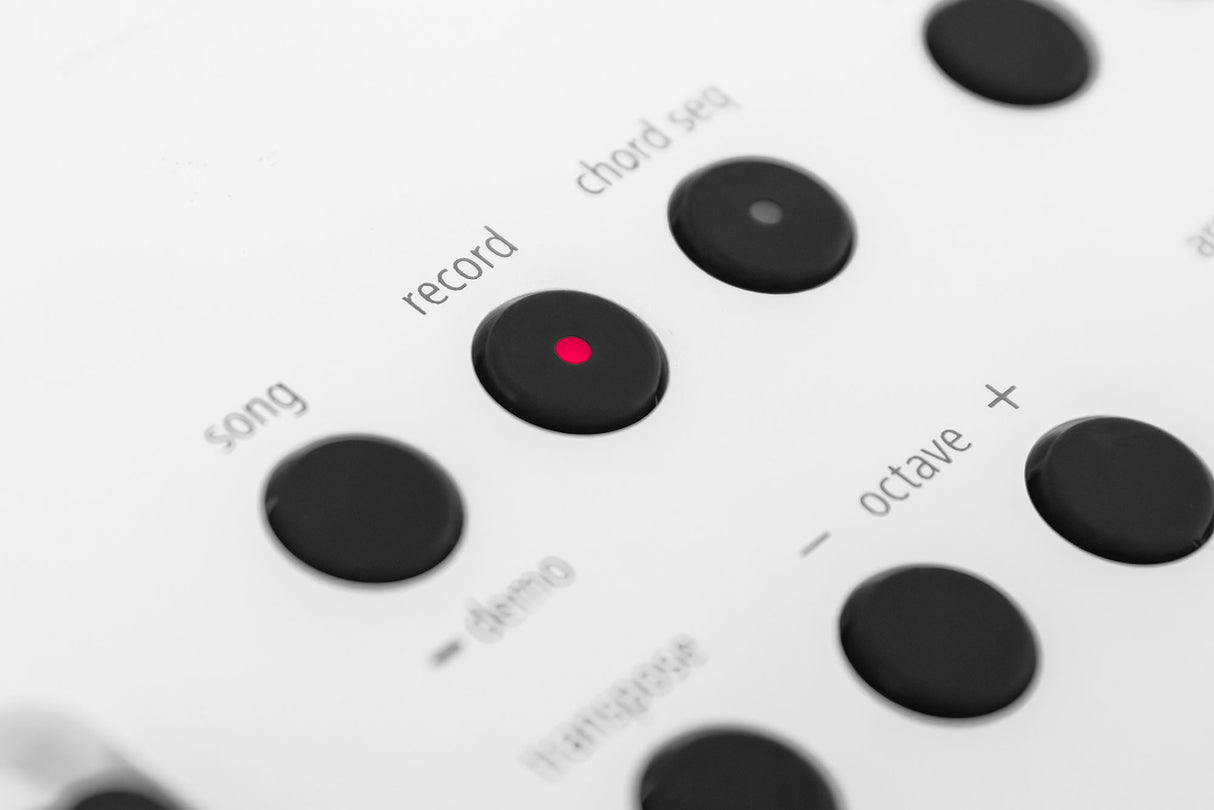 Roland GO:KEYS 5 Starter Kit (White)